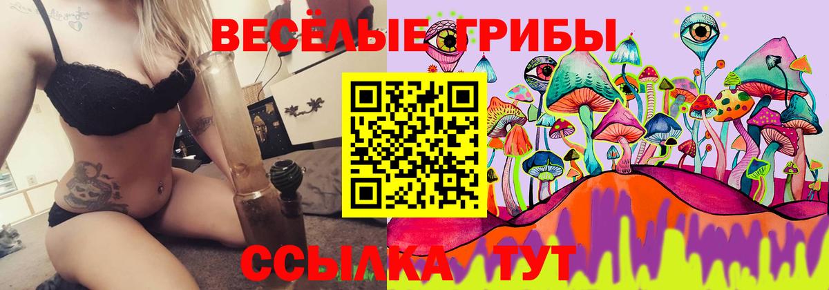Псилоцибиновые грибы Magic Shrooms Орехово-Зуево